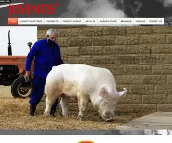 Juventis.co.za(Scientific pig breeding and pig consultancy in South Africa) Screenshot
