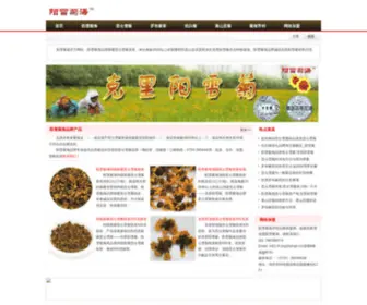 Jvhai.com(克里阳雪菊) Screenshot