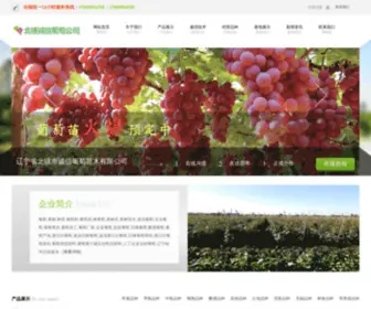 JZCXPTM.com(葡萄籽) Screenshot