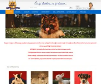 K9Ciftligi.com(K9 Avrupa Pet Center) Screenshot