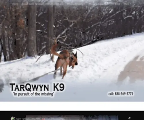 K9PI.com(TarQwyn K9 Investigations) Screenshot