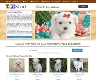 K9Stud.com(Dogs and Puppies for Sale on) Screenshot