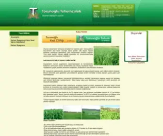 Kabayemler.com(Torunoğlu tohumculuk) Screenshot