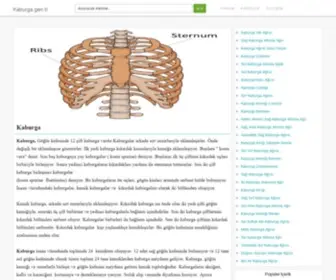 Kaburga.gen.tr(Hastalığı) Screenshot