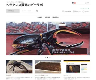 Kabuto-Mushi.com(ヘラクレスオオカブトやサタンオオカブトなど) Screenshot