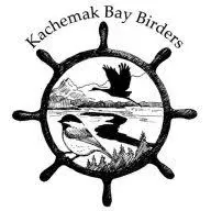 Kachemakbaybirders.org Favicon