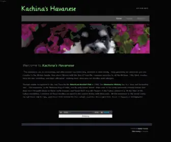 Kachinas.com(Kachina's Havanese) Screenshot