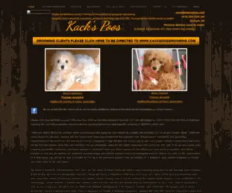 Kackspoos.com(Kack's Poos Maltepoos and Aussiepoos) Screenshot