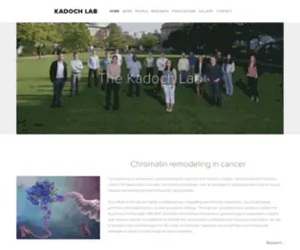 Kadochlab.org(Kadoch Lab) Screenshot