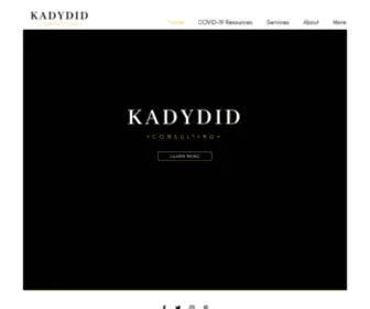 Kadydidconsulting.com(Marketing & PR) Screenshot