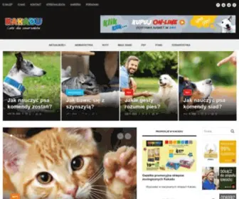 Kakadu.pl(Sieć sklepów zoologicznych Kakadu) Screenshot