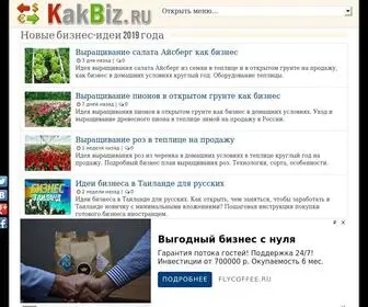 Kakbiz.ru(Новые) Screenshot