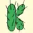 Kaktusklub.com Logo
