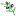 Kalamata.com Favicon