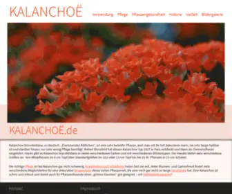 Kalanchoe.de(Infoportal über Kalanchoe) Screenshot