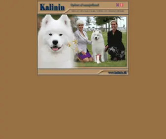 Kalinin.dk(Index) Screenshot