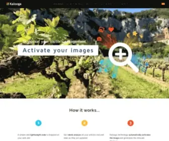 Kaloo.ga(Kalooga engages users by exposing relevant pictorial content through integrated visual navigation) Screenshot