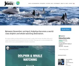 Kalpitiyadolphin.com(Dolphin and Whale watching with Kitesurfing Lanka) Screenshot