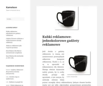 Kameleonbialystok.pl(BiaĹystok) Screenshot