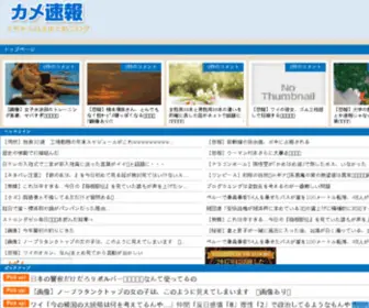 Kamesokuhou.com(Kamesokuhou) Screenshot