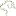 Kamouflage.dog Favicon