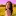 Kanahata.com Favicon