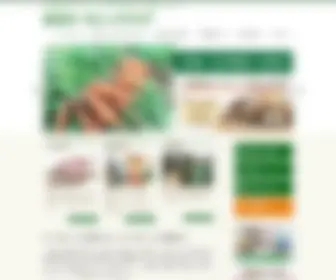 Kanazawa-Organic.com(オーガニック) Screenshot