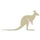 Kangaroo.cc Logo