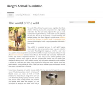 Kangmi.org(Kangmi) Screenshot