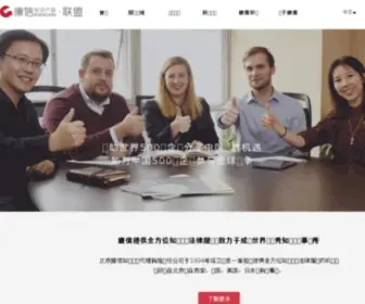 KangXin.com(康信知识产权) Screenshot