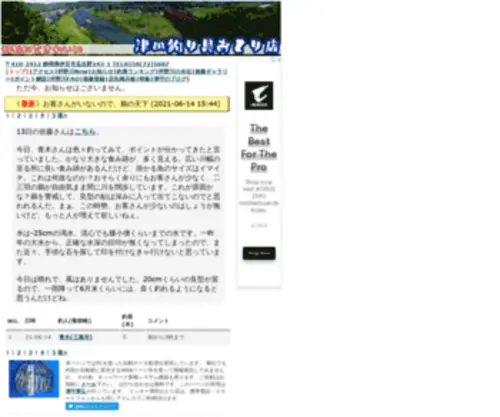 Kanogawa.info(インターネット津田おとり店) Screenshot