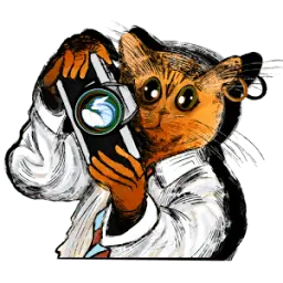 Karakoyfotografci.com Favicon