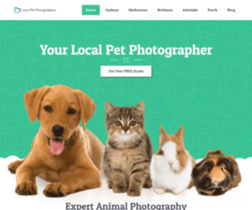 Karevermontdogrescue.com(Local Pet Photographer) Screenshot