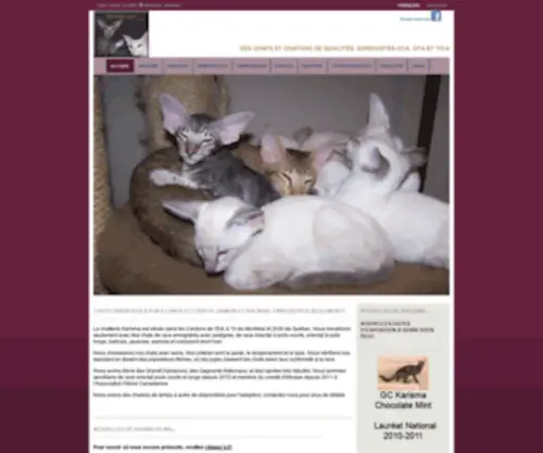 Karismacattery.com(Karismacattery) Screenshot