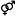 Kasexe.com Favicon