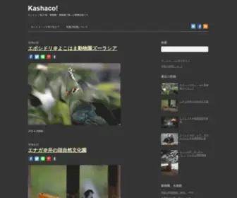 Kashaco.com(Kashaco) Screenshot