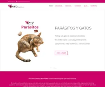 Katoclinicafelina.com(Kato) Screenshot
