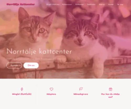 Kattcenter.se(Norrtälje kattcenter) Screenshot