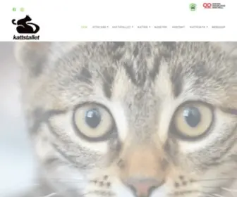 Kattstallet.se(Ett hem till varje katt) Screenshot