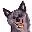 Katwala.com Favicon
