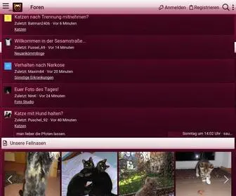 Katzen-Forum.de(Katzen Forum) Screenshot