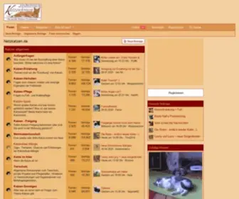 Katzen-Links.de(Katzenträume) Screenshot