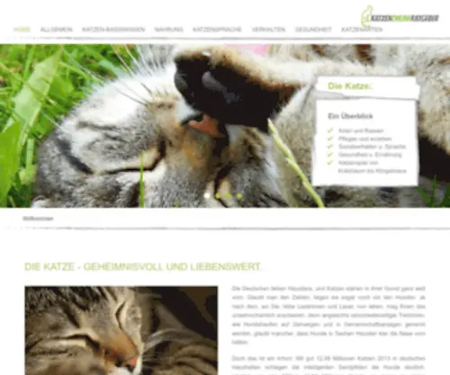 Katzen-Online-Ratgeber.de(Katzenmöbel) Screenshot