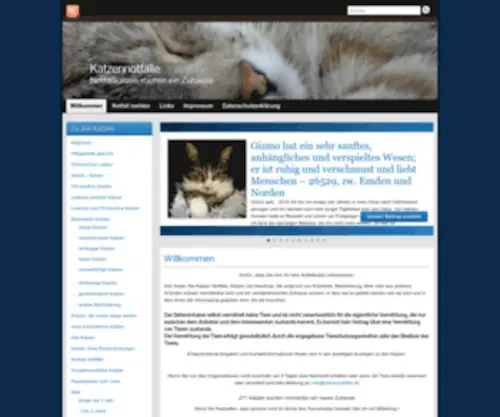 Katzennotfaelle.de(Katzennotfälle) Screenshot