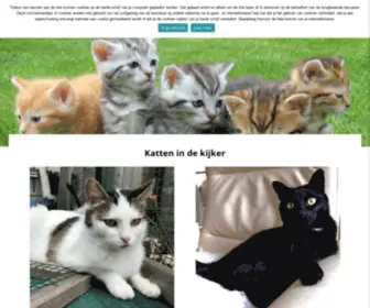 Katzoektthuis.be(Welkom op onze website) Screenshot