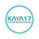 Kaya17.com Favicon