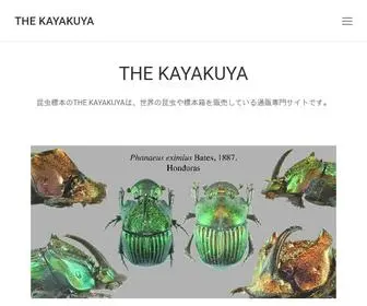 Kayakuya.com(世界の昆虫標本販売 Insect sale) Screenshot