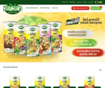 Kaykan.com.tr(KAYKAN NATURAL FOODS MÜSLİ) Screenshot