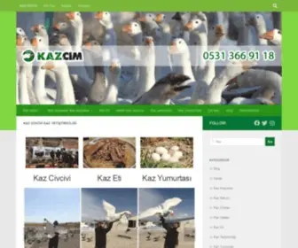 Kazcim.com(Kaz Civcivi) Screenshot