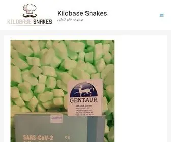 KBsnakes.com(Kilobase Snakes) Screenshot